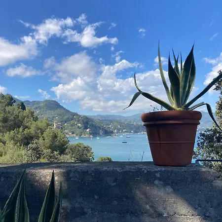 Luxury And Peace In Portofino *