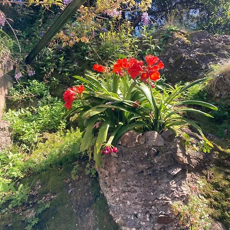 Luxury And Peace In Portofino Apartamento