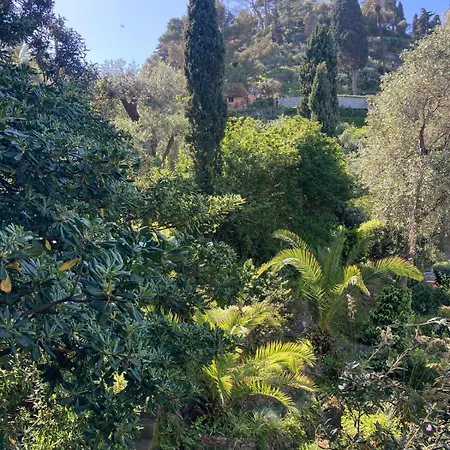 Apartment Luxury And Peace In Portofino Portofino